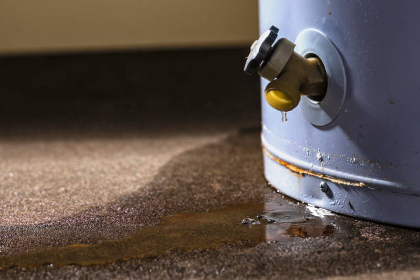 Best Water damage restoration process  in Shoreview, MN