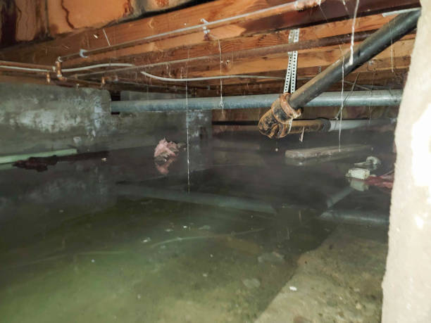 Best Commercial water damage restoration  in Shoreview, MN