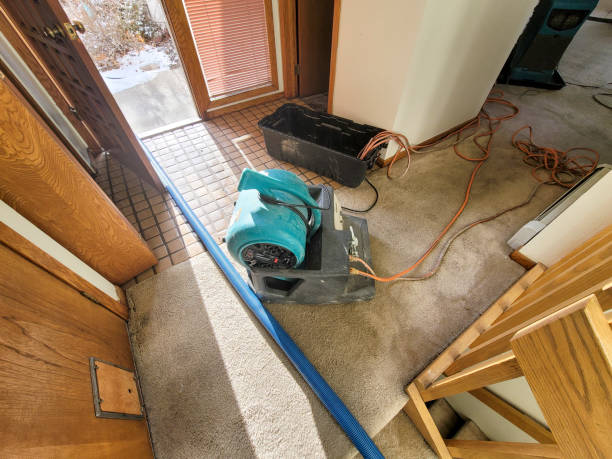 Best Water damage restoration insurance claims  in Shoreview, MN