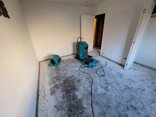 Best 24-hour water damage restoration  in Shoreview, MN