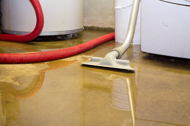  Shoreview, MN Water damage restoration Pros