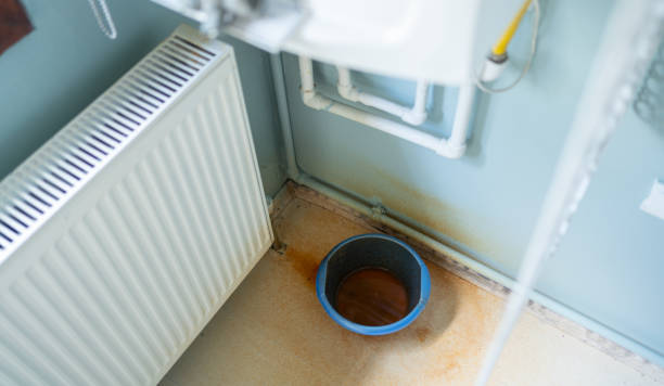Best Flood restoration services  in Shoreview, MN