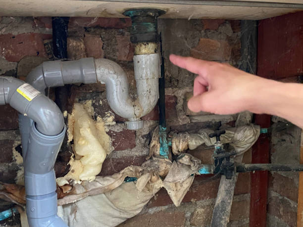 Best Carpet water damage restoration  in Shoreview, MN