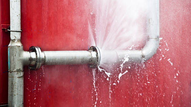 Best 24/7 water damage repair  in Shoreview, MN