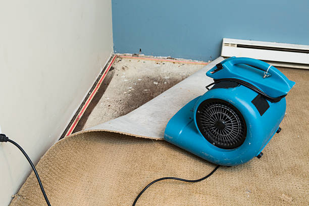 Best Sewage cleanup and water damage restoration  in Shoreview, MN
